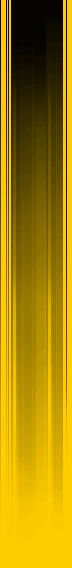 Rushbanner-senkrecht0202